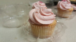 Vanilla Cupcakes