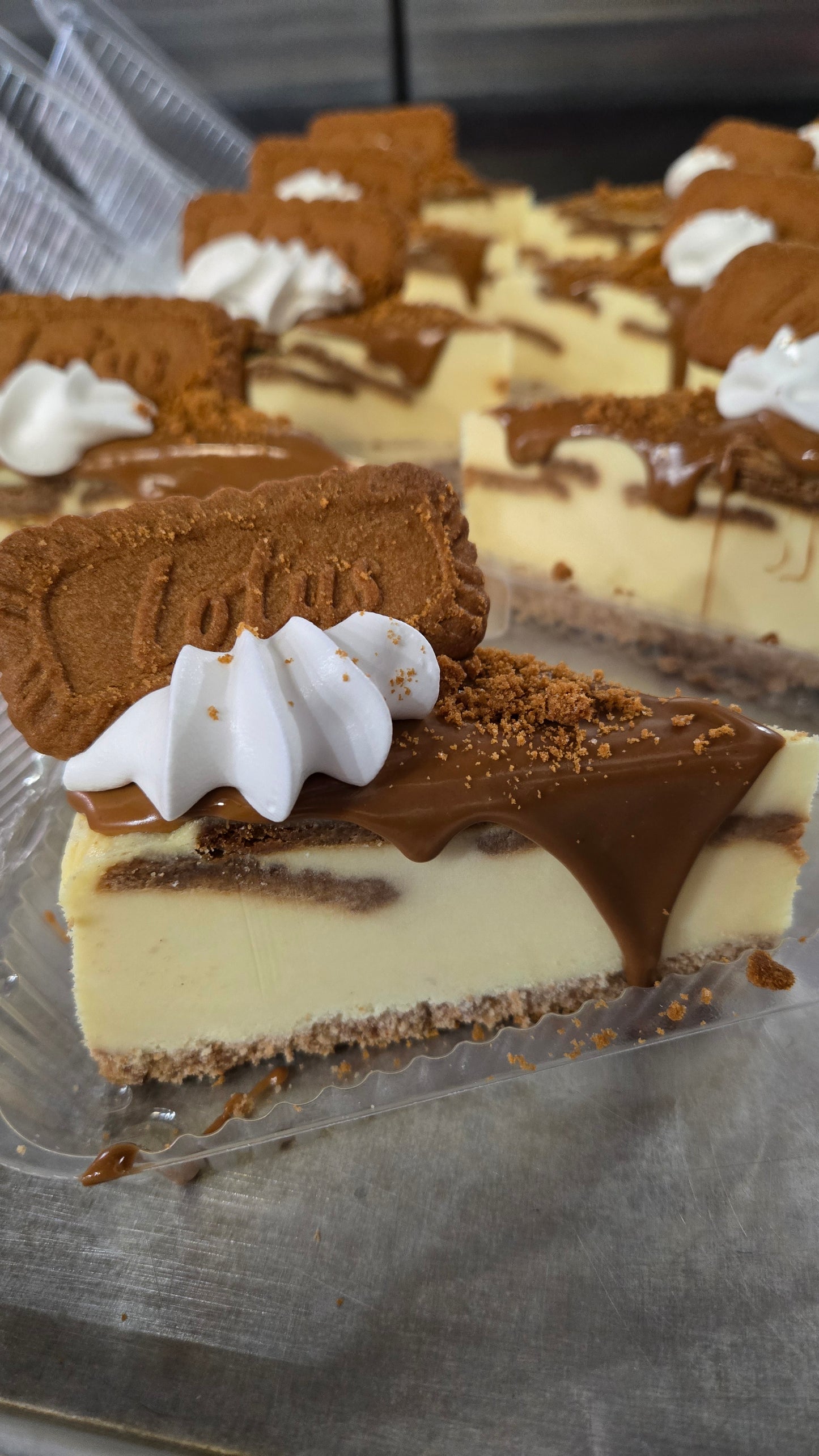 Cookie Butter Cheesecake